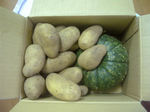 080922-1.jpg